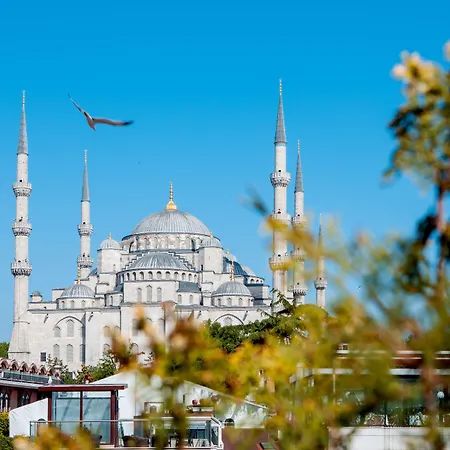 Ferman Old -special Category Istambul