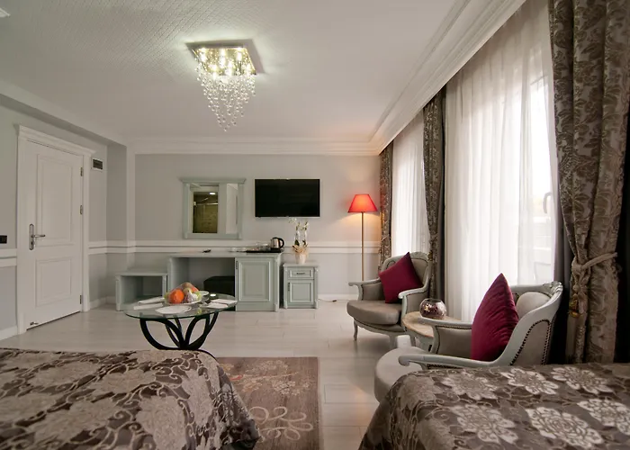 Ferman Old -special Category Отель Стамбул