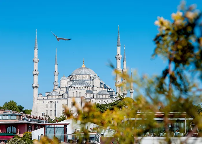 Ferman Old -special Category Стамбул